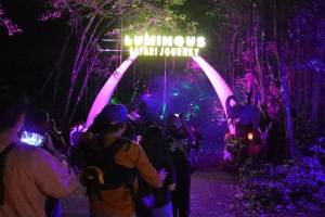Parade Hutan Menyala Luminous Journey Taman Safari Bogor Temani Wisatawan di Libur Nataru