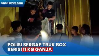 Polisi Sergap Truk Box Berisi 11 Kg Ganja di Lampung,....