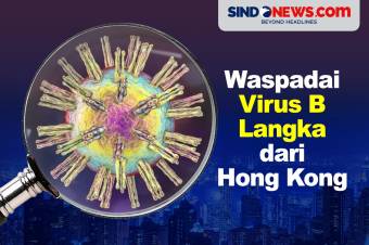 Waspadai Gejalanya Virus B Langka yang Ditemukan di Hong Kong