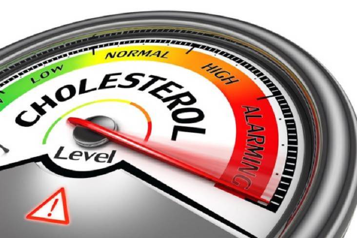 Waspadai Penyakit Komplikasi Akibat Kolesterol Tinggi, Bisa Mematikan