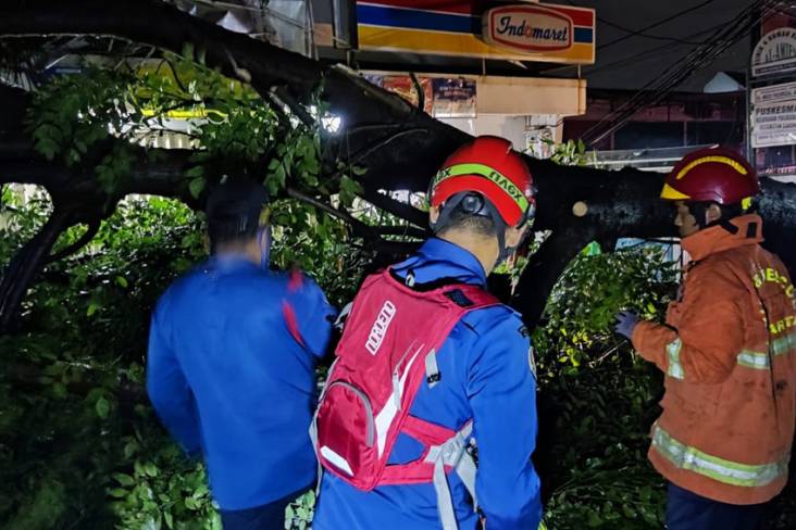 Angin Kencang, Pohon Akasia Tumbang Tutup Jalan dan Timpa Minimarket