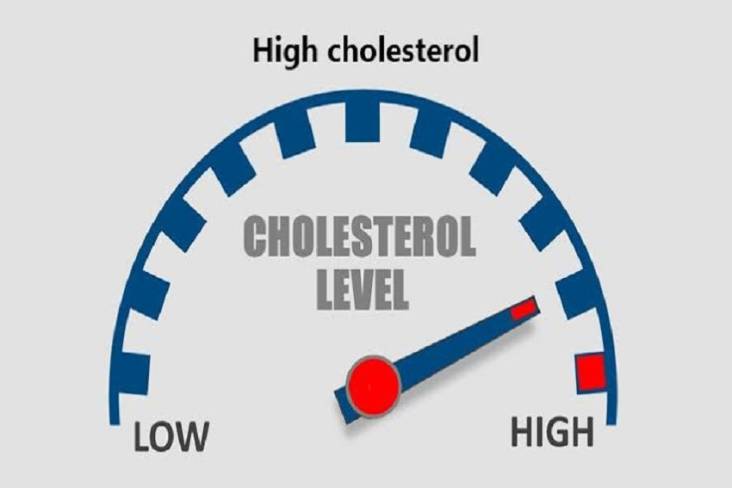 Gejala Kolesterol, Rambut Rontok di 3 Area Tubuh Tertentu Jadi Pertanda