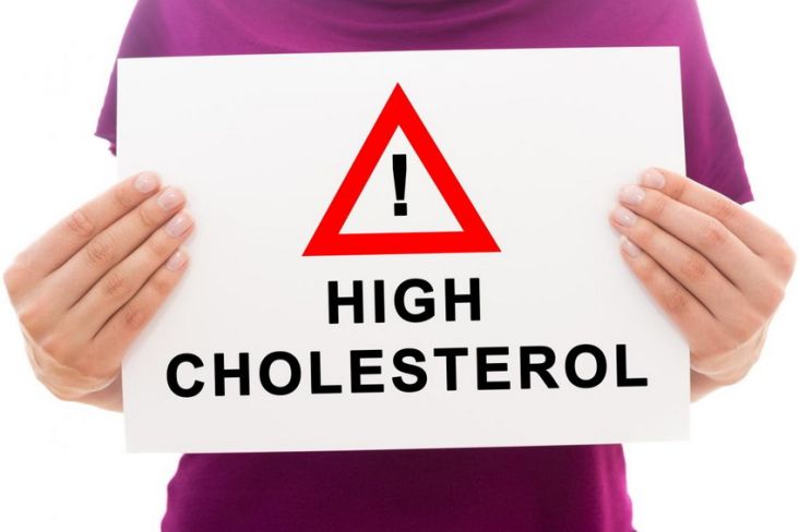 5 Penyebab Kolesterol Tinggi Pada Lansia, Nomor 4 Jarang Disadari