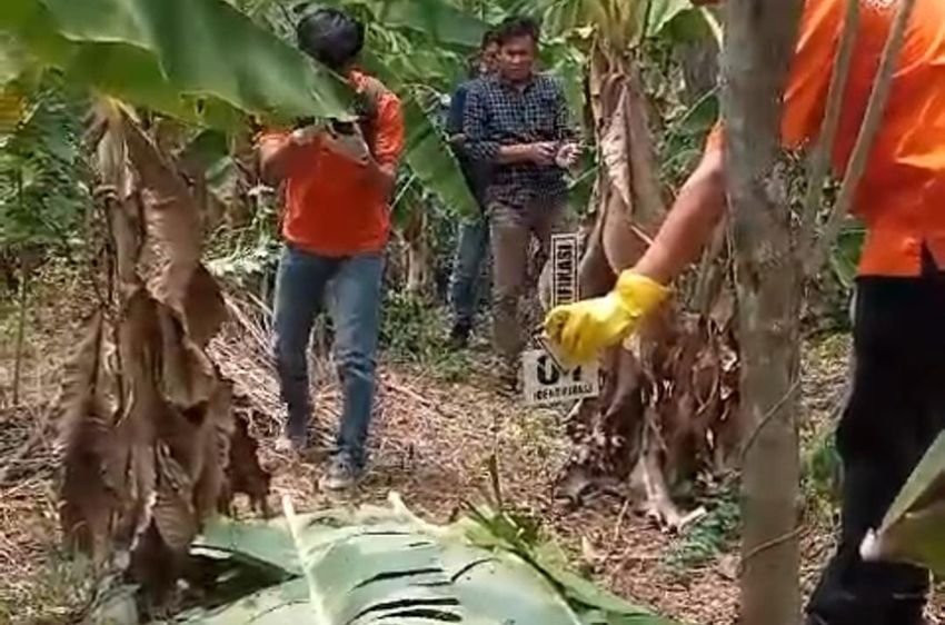 Pegawai Rsud Karawang Tewas Membusuk Di Kebun Pisang Korban Pembunuhan 6247