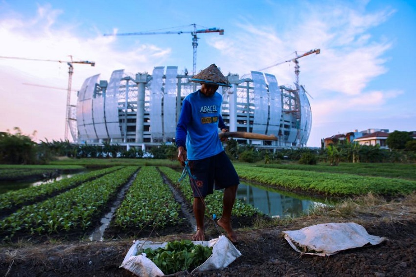 Kementan Lewat Upland Project Latih Petani Publikasikan Hasil Pertanian di Medsos