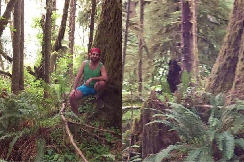 Keajaiban Alam: Pemuda Berhadapan dengan Makhluk Raksasa Berambut di Hutan setelah Merasakan Bau Aneh