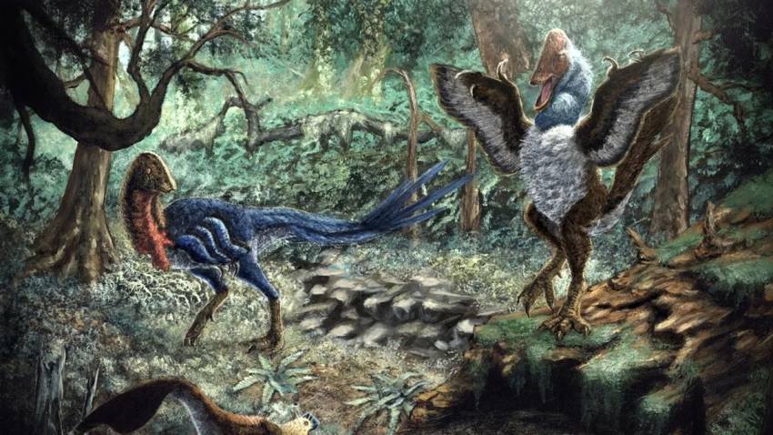 Penemuan Sensasional: Jejak Ayam Dinosaurus Ditemukan di AS oleh Ahli Paleontologi