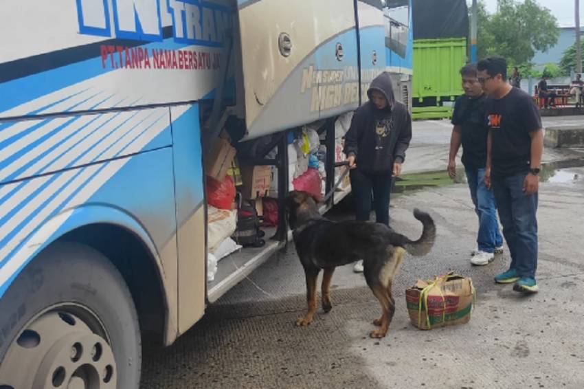 6 Anjing Pelacak K9 Bantu Endus Peredaran Narkoba di Pelabuhan Bakauheni, Ini Hasilnya