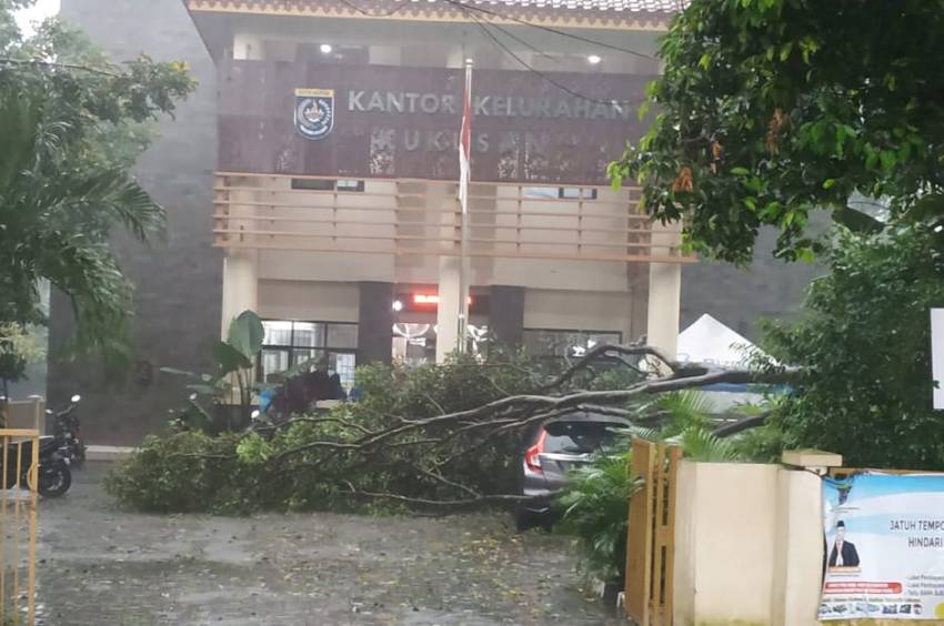 Imbas Hujan Disertai Angin, Sejumlah Pohon Tumbang di Depok dan Menimpa Mobil