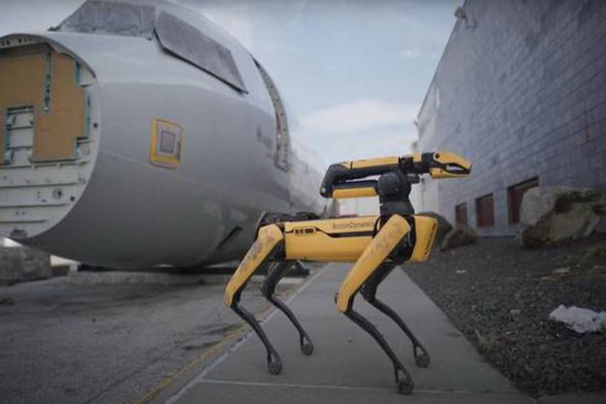 Perdana, Belanda Uji Coba Anjing Robot AI Berburu Narkoba