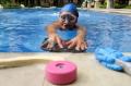 Latihan Mandiri Atlet Underwater Hockey Cyntia Amilia Kinasih