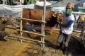 Ramah Lingkungan, Masjid An-Nur BPK V Bagikan 3.500 Paket Daging Kurban Pakai Besek Bambu