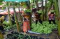 Warga Bambankerep Semarang Nikmati Panen Hasil Urban Farming