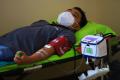 Donor Darah Plasma Konvalesen Penyintas Covid-19 di PMI DKI Jakarta