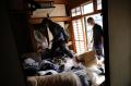 100 Orang Luka-Luka Akibat Gempa Magnitudo 7,3  di Jepang