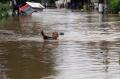 Perumahan Pondok Maharta Tangerang Tak Luput dari Kepungan Banjir