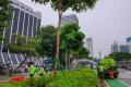 Perawatan Rutin Taman di Jakarta