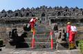 Basmi Lumut, Perawatan Candi Borobudur Gunakan Minyak Atsiri