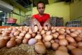 Jelang Ramadan, Harga Telur Ayam di Pasar Kecapi Merangkak Naik