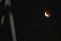 Tak Kalah Cantik, Begini Penampakan Gerhana Bulan Total dari Langit Kota Depok