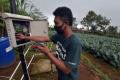 Pertanian Berbasis Teknologi di Desa Gobleg Bali