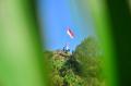 Pengibaran Bendera Merah Putih di Pegunungan Patiayam