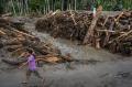 Desa Rogo Luluh Lantak Diterjang Banjir Bandang, Puluhan Rumah Tertimbun Lumpur
