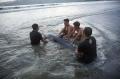 Lumba-lumba Elektra Terdampar di Pantai Tulungagung