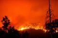 Angin Kencang Sebabkan Kebakaran Hutan Nasional Sequoia di California Meluas