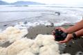 Bahaya, Batu Bara Cemari Pantai Wisata di Aceh