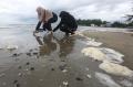Bahaya, Batu Bara Cemari Pantai Wisata di Aceh