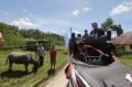 Menteri Sandiaga Uno Berikan Sepasang Kerbau untuk Bangkitkan Perekonomian Masyarakat Desa Huta Tinggi