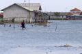 Hampir Sebulan Banjir Rob Rendam Desa Eretan Wetan