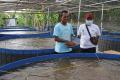 Yayasan KEHATI Berdayakan Masyarakat Brebes Melalui Budi Daya Ikan Nila Sistem Bioflok