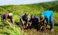 Didukung YDBA, DAB Subur Resmikan Program Pembinaan Petani Serai Wangi