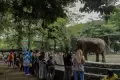Manfaatkan Liburan Idul Fitri di Taman Margasatwa Ragunan