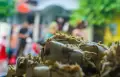 Tradisi Kupat Jembut di Pedurungan Semarang