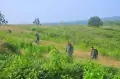 Pencarian Serpihan Pesawat Latih Tempur di Desa Nginggil Blora