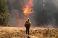 Melihat Neraka di Hutan Oak Fire California yang Tak Kunjung Padam