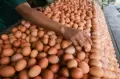 Tertinggi Sepanjang Sejarah, Harga Telur Ayam Tembus Rp32 Per Kilogram