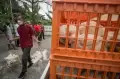 Aksi Bagi-bagi Ayam Gratis di Karanganyar