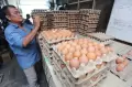 Kenaikan Harga Telur di Aceh Barat Sentuh Rp500 Ribu Per Ikat