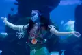 Atraksi Putri Duyung Avatar di Jakarta Aquarium