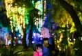 Warna-Warni Jakarta Lights Festival di Taman Sumenep Jakarta