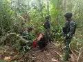 Patroli Gabungan Sinergitas Satgas Pamtas RI-PNG Gagalkan Transaksi 1.838 Gram Ganja di Perbatasan Papua