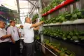 PLN Penuhi Kebutuhan Nutrisi Warga Kampung Sehat dengan Teknologi IoT untuk Smart Farming