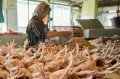 Harga Daging Ayam Tembus Rp35.000 Perkilogram di Pasar Kramat Jati