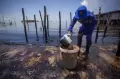 Petugas Dit Polair Polda Kepri Bersihkan Limbah Minyak Hitam di Pantai Batam