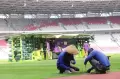 Begini Perawatan Rumput Lapangan di Stadion Utama Gelora Bung Karno