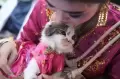 Begini Tingkah Lucu Puluhan Kucing Ikuti Lomba Kostum di Kendari
